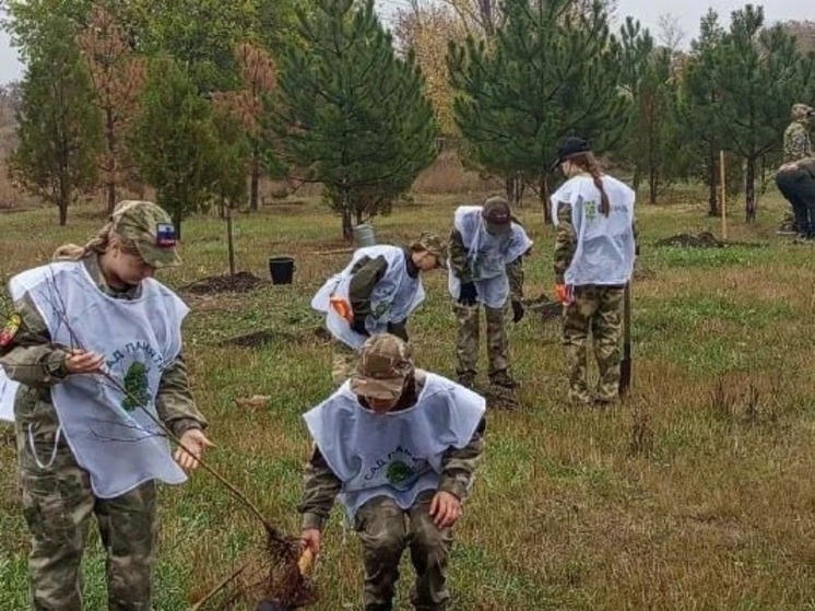 В Донецке заложили Аллею казачьей славы