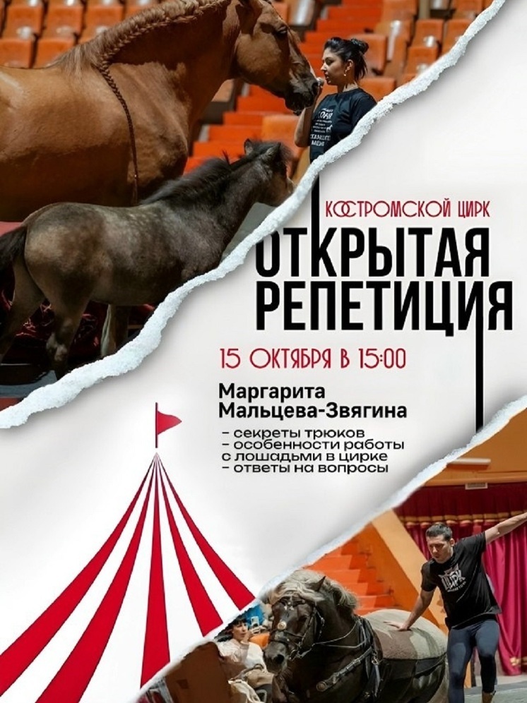 Что там, за кулисами: костромичи смогут побывать в цирке на открытой репетиции