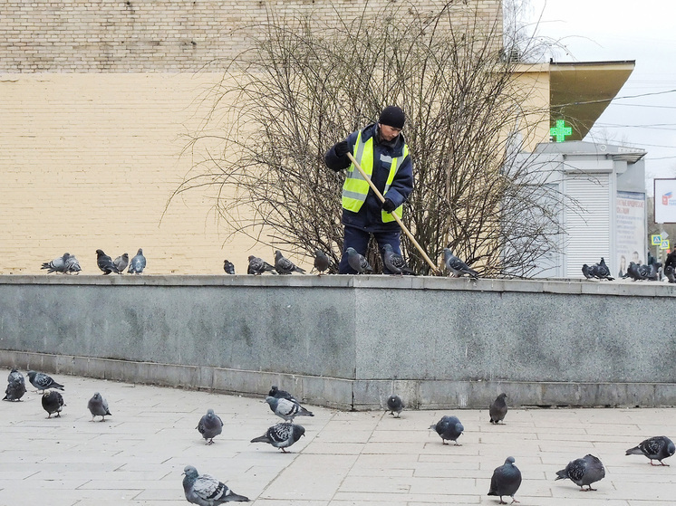 «Хотят больше денег»: каких специалистов в столице катастрофически не хватает и почему