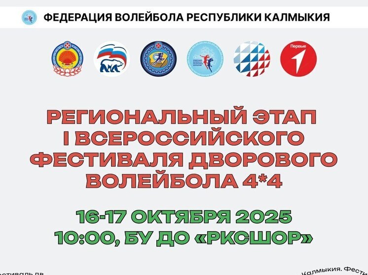 В Элисте пройдет региональный этап всероссийского фестиваля дворового волейбола