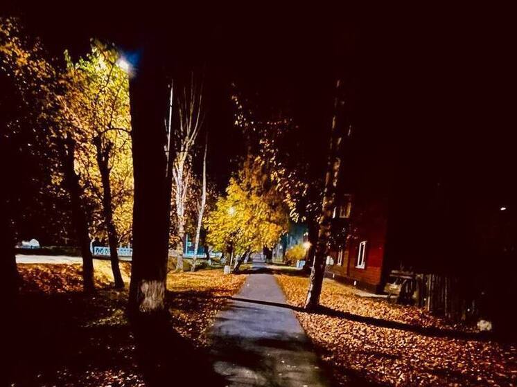 Еще одного медведя-великана застрелили под Абазой