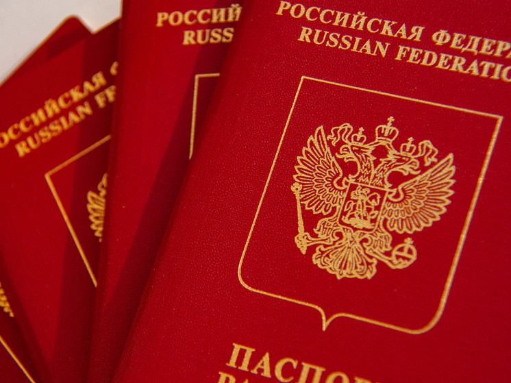 Германия  Гражданство РФ и въезд в Россию
