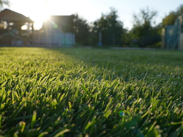 Народные приметы: чего нельзя делать 15 октября, в день Куприяна и Устиньи