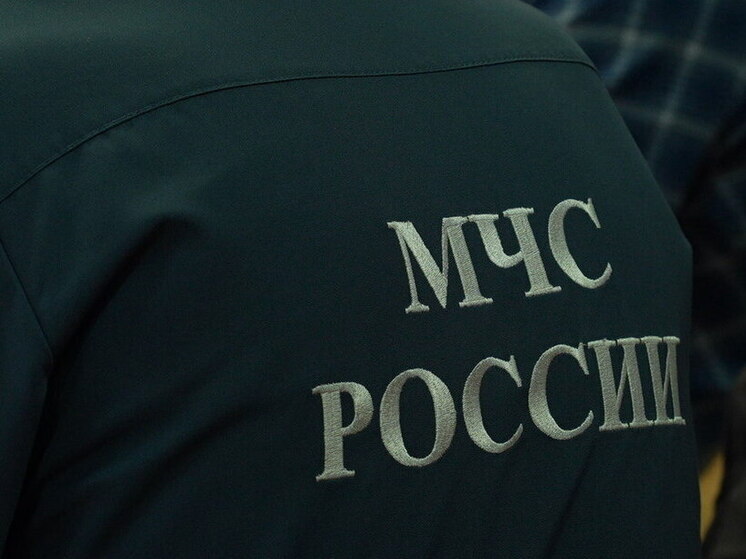 В Волгоградской области обезвредили бомбу времен Великой Отечественной войны