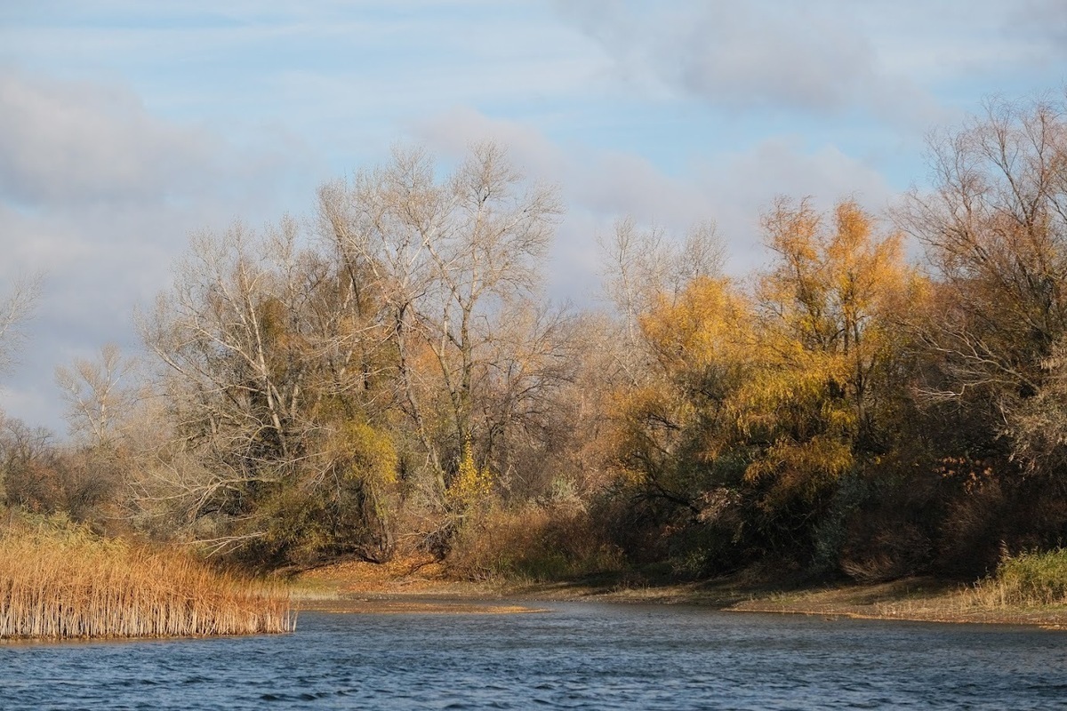 Астраханцев ждет 15 октября облачная погода и до +20℃