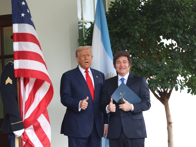 Акции аргентинских компаний упали после встречи Милея с Трампом