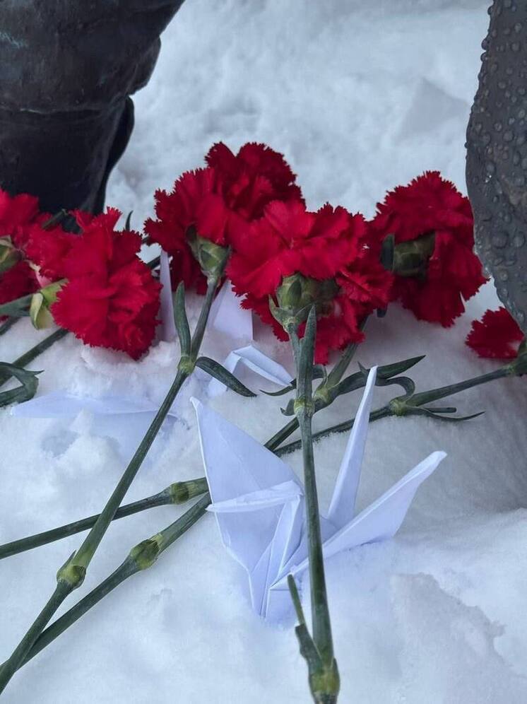 В Салехарде память павших в бою воинов почтили акцией «Дни белых журавлей»