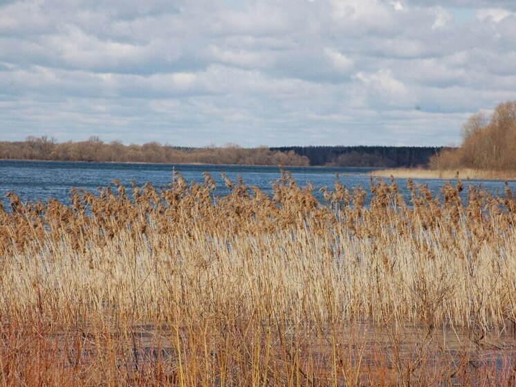 Вильфанд сообщил, что погода на всей территории России переходит в зимний режим