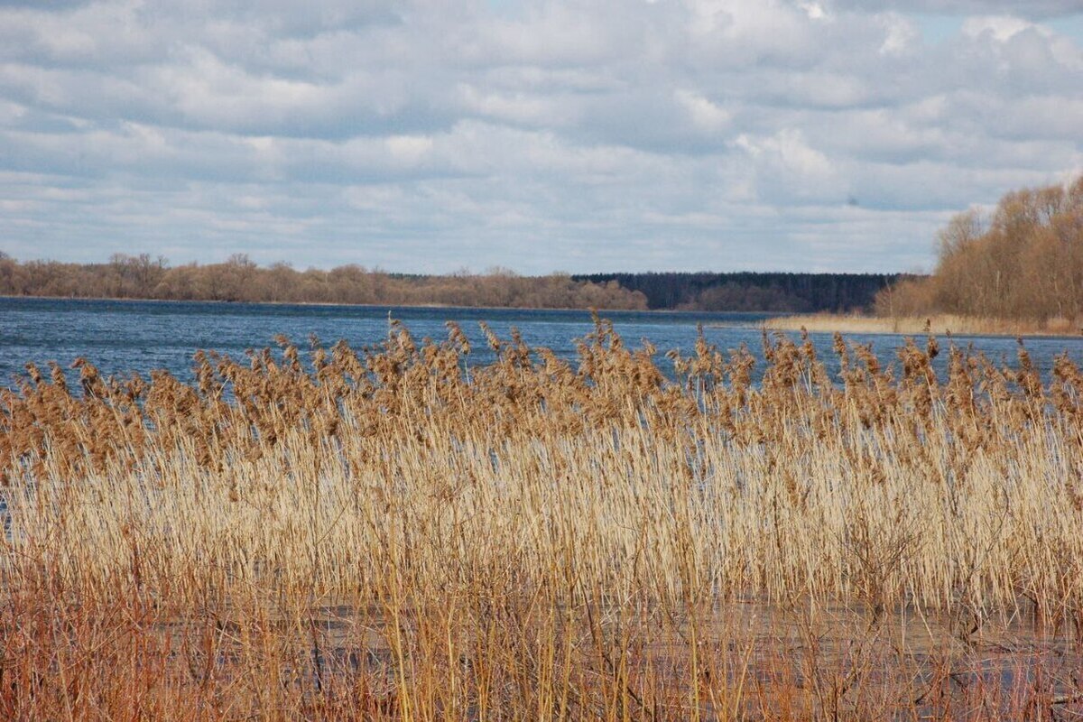 "Начинается период предзимья": погода на всей территории России переходит в зимний режим