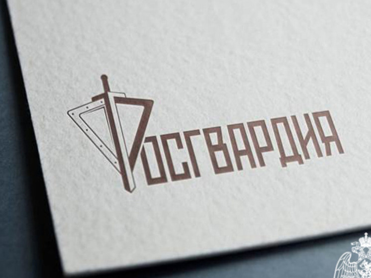 Более 300 вызовов по сигналу «тревога» обработали курские росгвардейцы за неделю