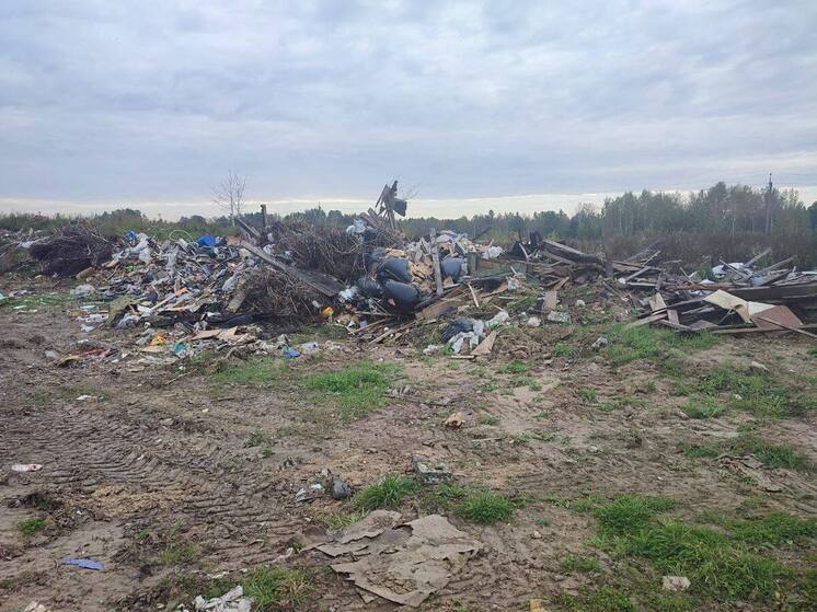 Свалка площадью 830 квадратных метров ликвидирована в Томске  в районе Кузовлевского тракта