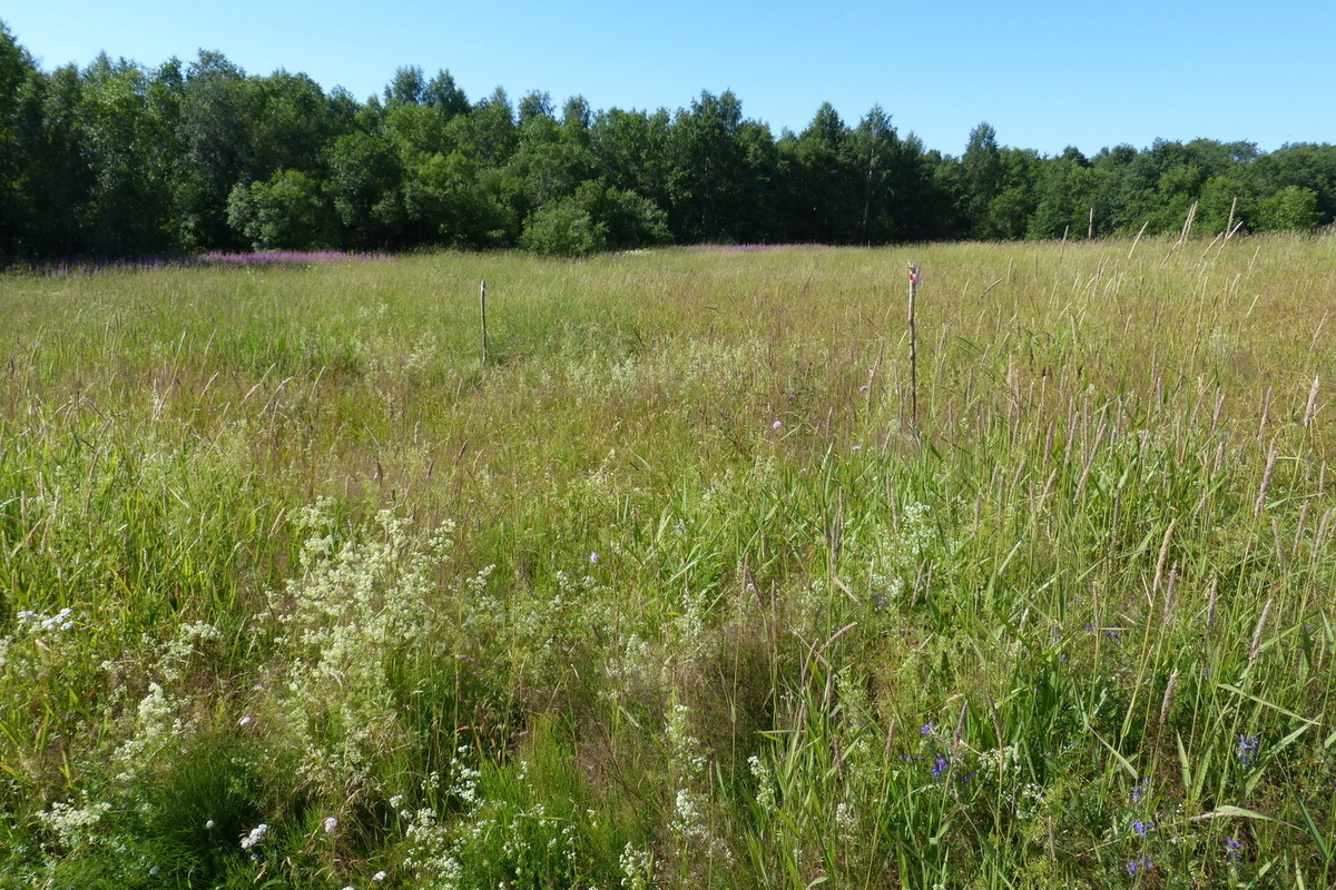 Неудачливый фермер из Карелии превратил свой участок в охотничью зону