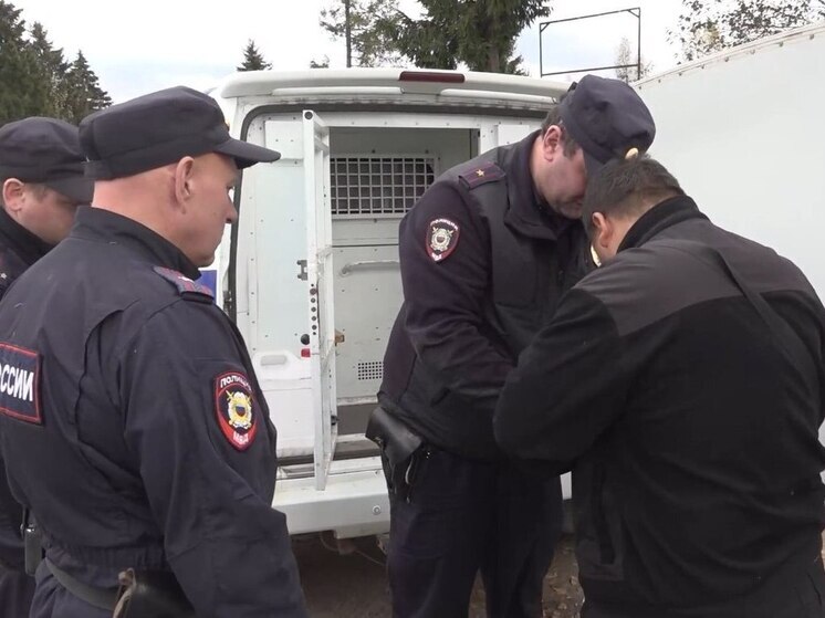 Петербургская полиция обнаружила 43 нелегальных мигранта на юге Ленобласти