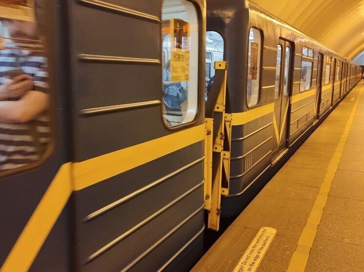 Ребенок попал в больницу после падения на пути на «Чкаловской»