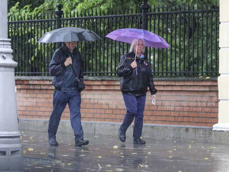 Вильфанд заявил, что дождливая погода вернется в Москву в выходные