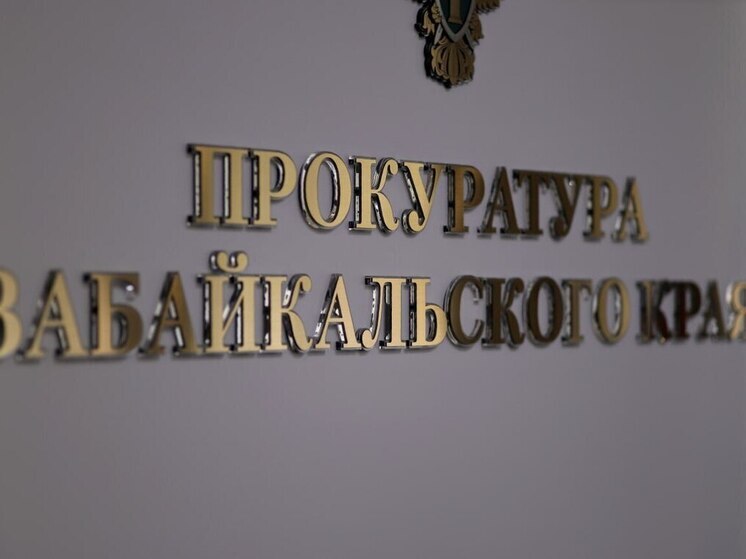 Дом забайкалки подключили к электросети после вмешательства прокуратуры
