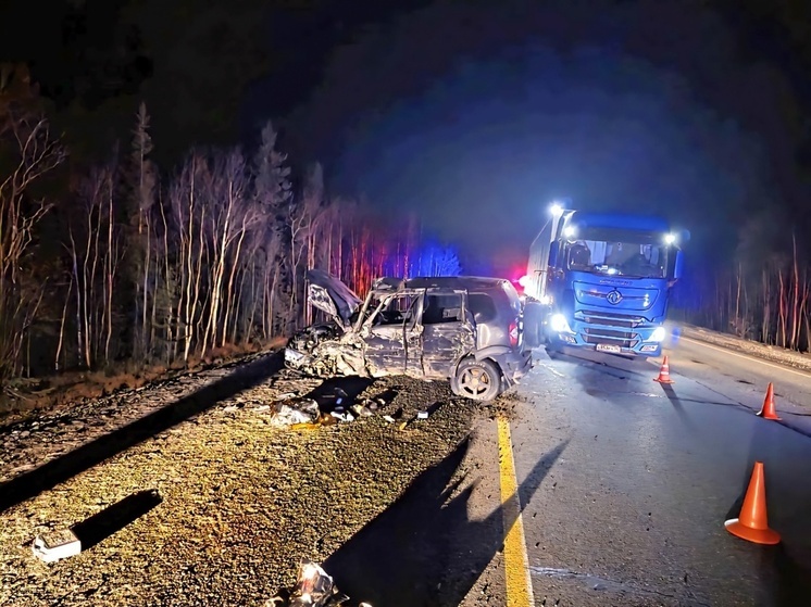 Два человека погибли в ДТП на трассе в Оленегорском округе