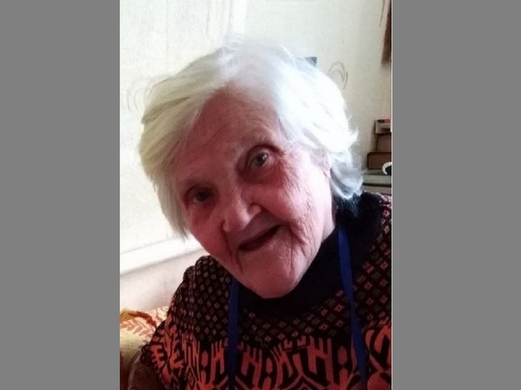 В Воронеже объявили поиски без вести пропавшей 95-летней женщины