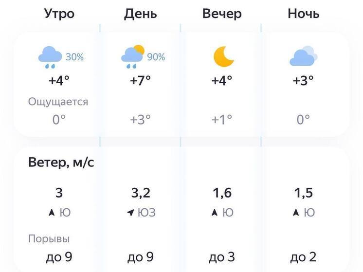 Пензенцев ожидает дождливый день 15 октября