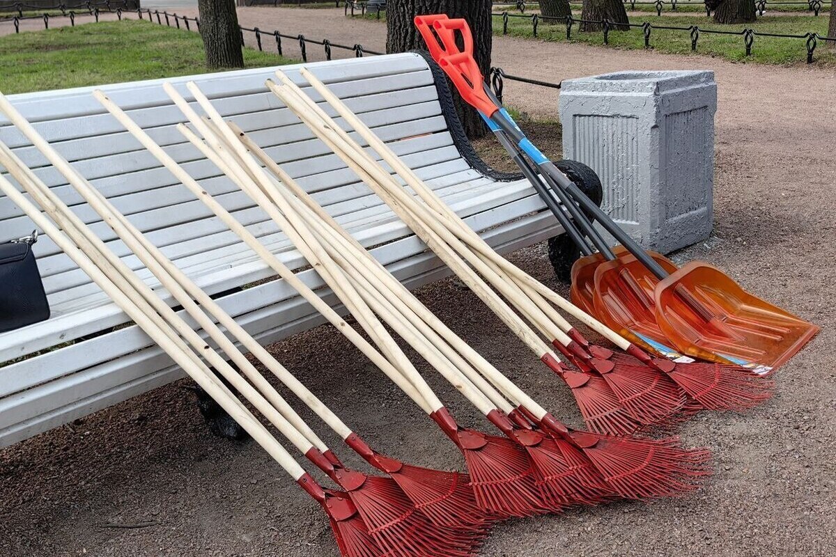 Iniziativa Ecologica a Kalingrado: Il Parco di Primorje Si Impegna per la Tutela dell'Ambiente