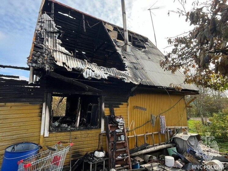 В Гатчинском районе пожар унес жизнь женщины