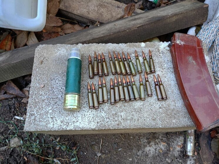 В Бердянском округе Запорожской области изъяли боеприпасы