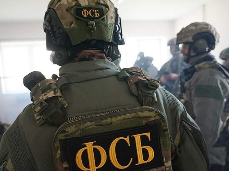 Подозревается в измене: жительницу Донецка задержали за сотрудничество с СБУ