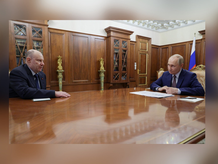 Владимир Путин и Владимир Потанин обсудили экологические инициативы в ходе рабочей встречи