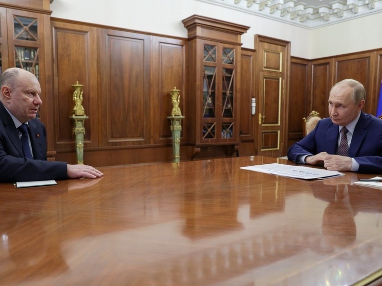 Встреча Владимира Путина и Владимира Потанина прошла в Кремле