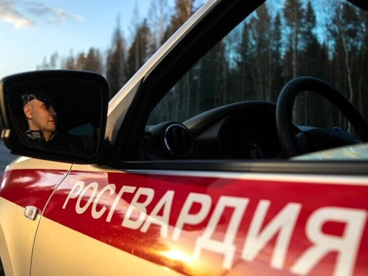 В Няндоме росгвардейцы задержали вологжанина в бегах