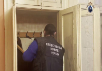 Выяснились новые подробности дела серийного убийцы, задушившего своего друга и пытавшегося задушить незнакомую девушку