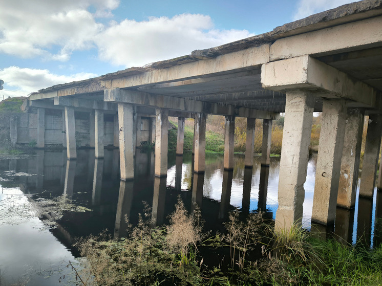Завершился капитальный ремонт моста через реку Череха в Островском районе