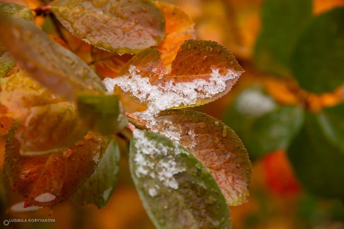 La Carelia si avvia verso l'inverno: cosa significa e quali saranno le conseguenze