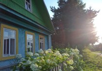 Снижение Центробанком ключевой ставки до 17% несколько оживило рынок загородной недвижимости, который долгое время находился в состоянии фактического анабиоза