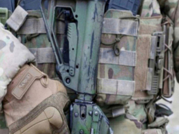 Армия РФ освободила Новопавловку в ДНР и Алексеевку в Днепропетровской области