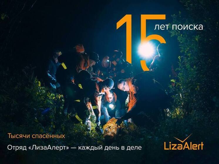 «ЛизаАлерт» — 15 лет самоотверженности и спасения жизней: Тамбов присоединяется к поздравлениям