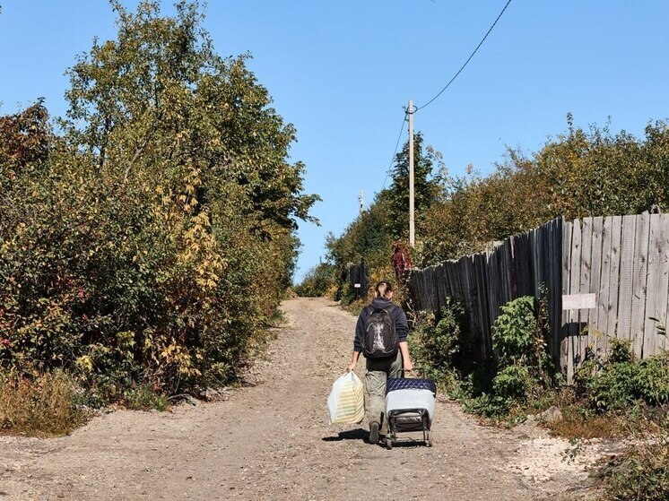 Сельский туризм становится настоящим трендом: все больше россиян стремятся провести отдых подальше от городской суеты. Вместо привычных туристических маршрутов люди выбирают сельскую местность, где каждый может найти развлечения на свой вкус – от посещения ферм до комфортабельного отдыха в глэмпингах. Не обошло это явление стороной и жителей Пензенской области.