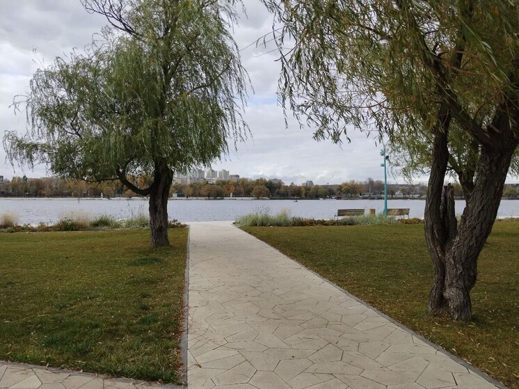 Небольшие осадки придут в Белгородскую область в четверг