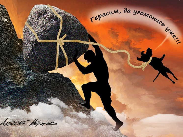 В Москве был впервые в российской истории выписан штраф за собачью мочу на газоне