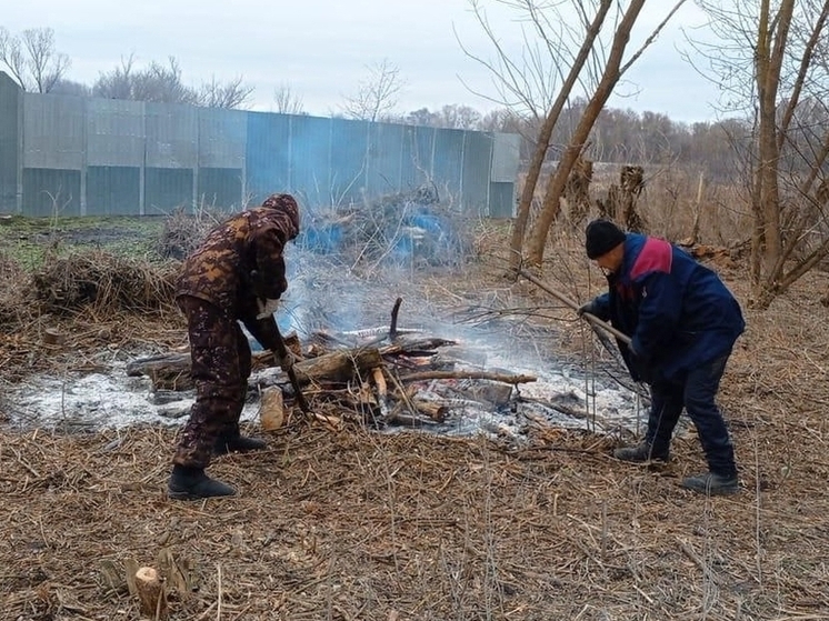 Более 410 белгородцев начали заниматься общественным трудом с начала года