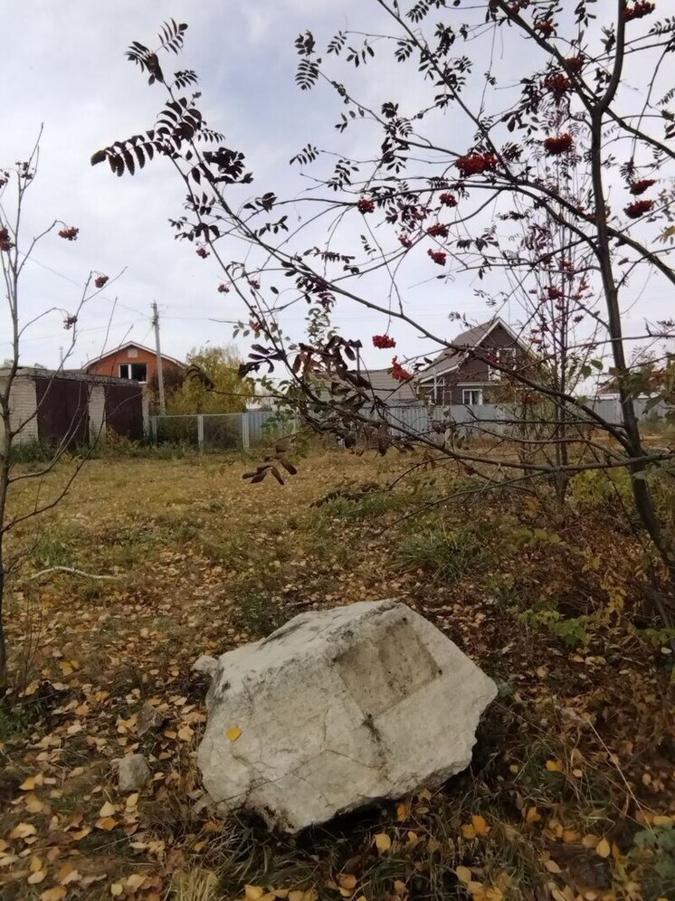 Ветеран СВО Максим Меделяев высказался об инциденте с "бесхозным" мемориальным камнем в Кинельском районе