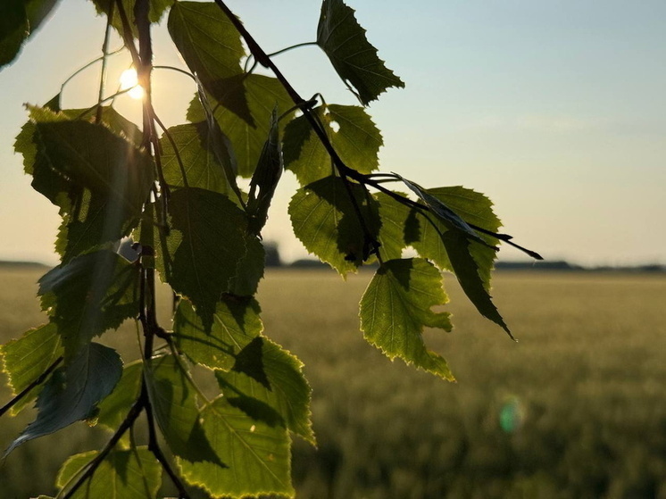 На следующей неделе в Омск придет потепление