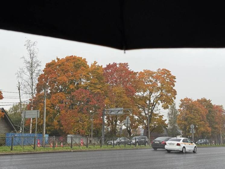 Новгородскую область 16 октября по-прежнему будут мочить кратковременные дожди