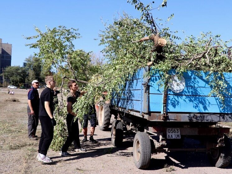 Семнадцать тысяч человек приняли участие в экологической акции "Зеленая Россия" в ЛНР