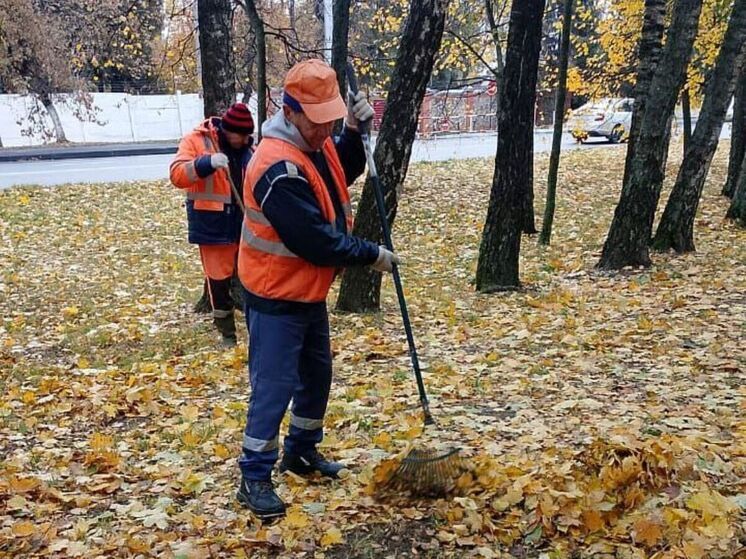 В Курской области 16 октября ожидается +7 градусов