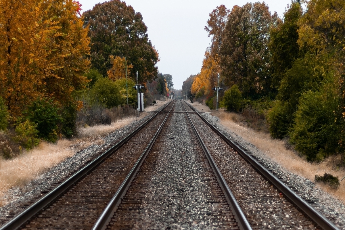 В Брянской области оштрафовали водителя фуры за ДТП с поездом