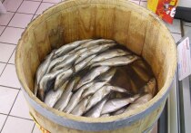 В сентябре средняя стоимость сельди в России выросла на 28% по отношению к аналогичному периоду 2024 года, подсчитал Росстат