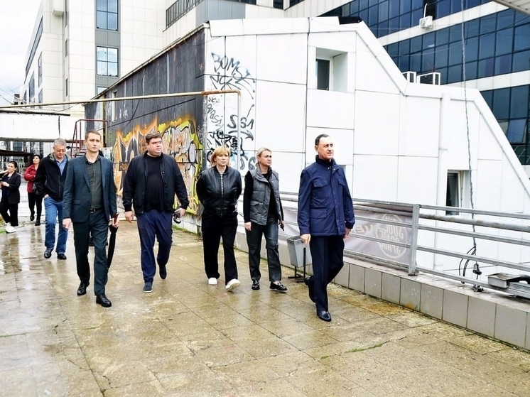 Депутат ЗСК Виктор Тепляков провёл осмотр торговой галереи на улице Навагинской в Сочи