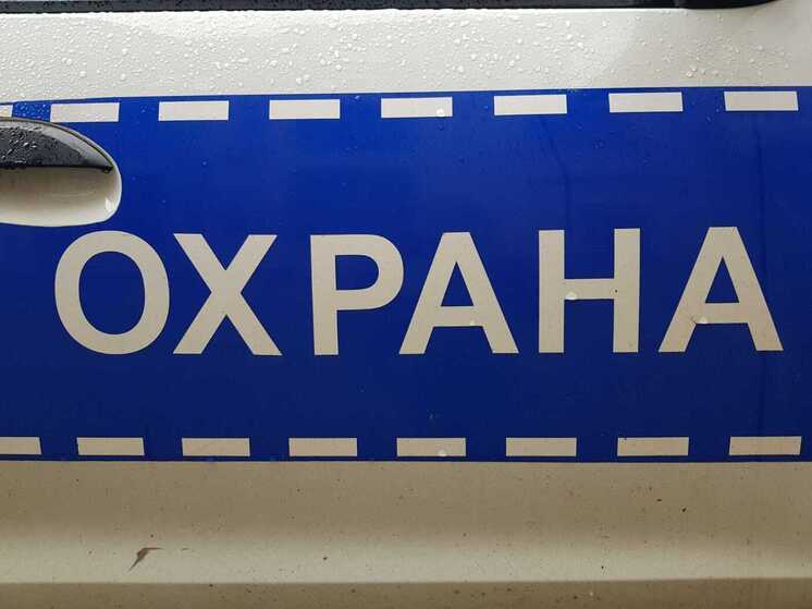 Эксперт рассказал, в каких случаях охранник может применять силу к нарушителю