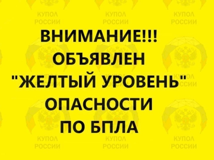 На Дону вечером 15 октября объявили желтый уровень опасности БПЛА